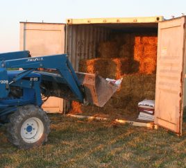 Shipping Containers as Seed/Hay Storage